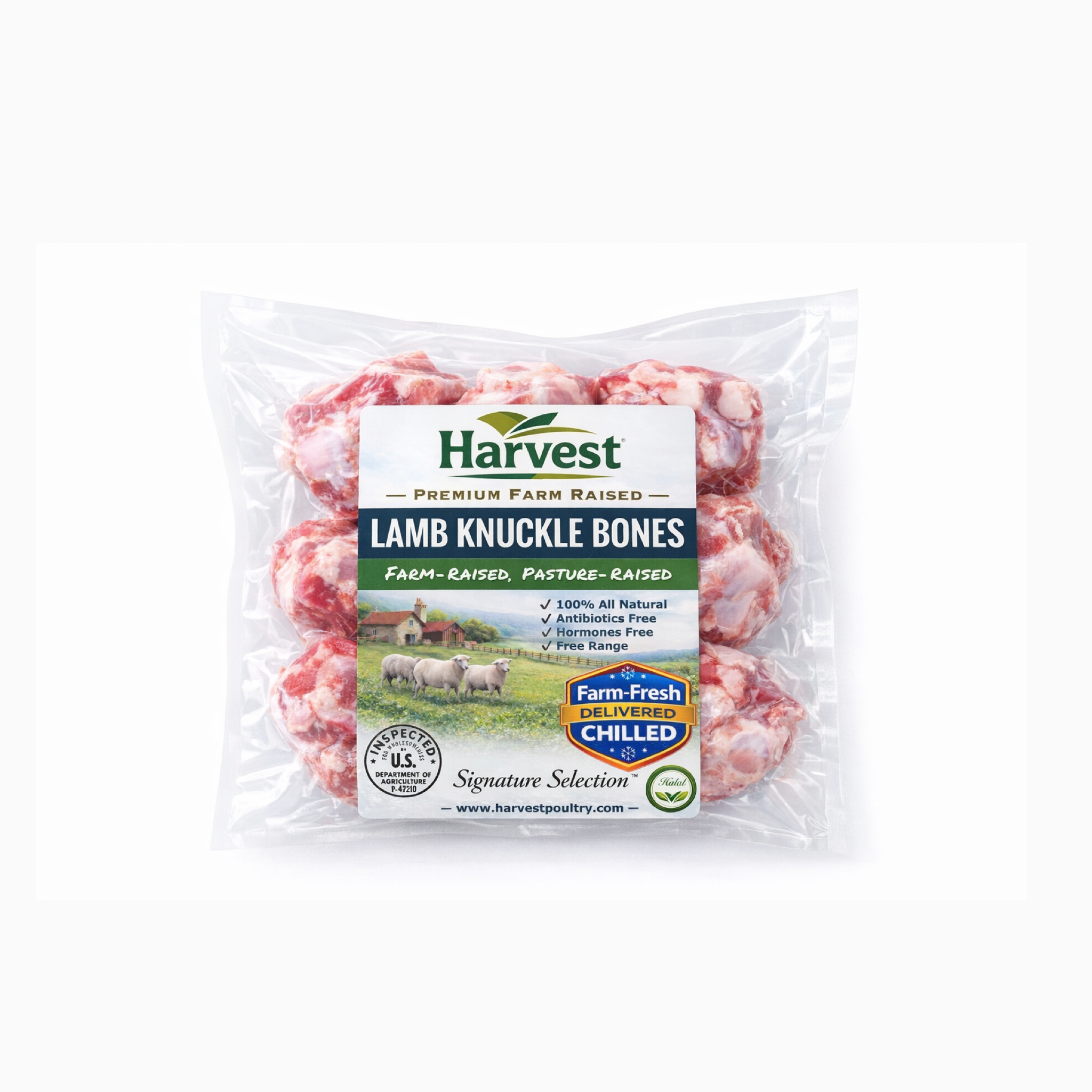 Lamb knuckle bones | 1 lbs